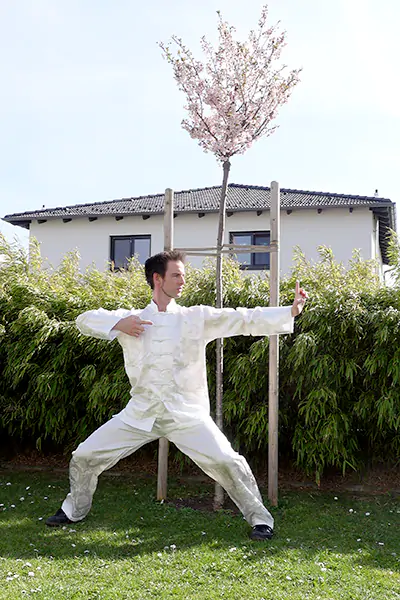 Perfect Qi Gong Form