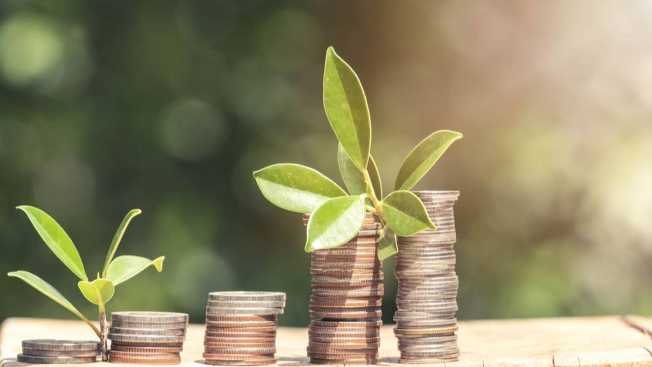 Coins, plants, grow compound interest
