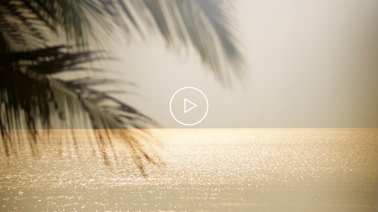 calm beach with tree in the background