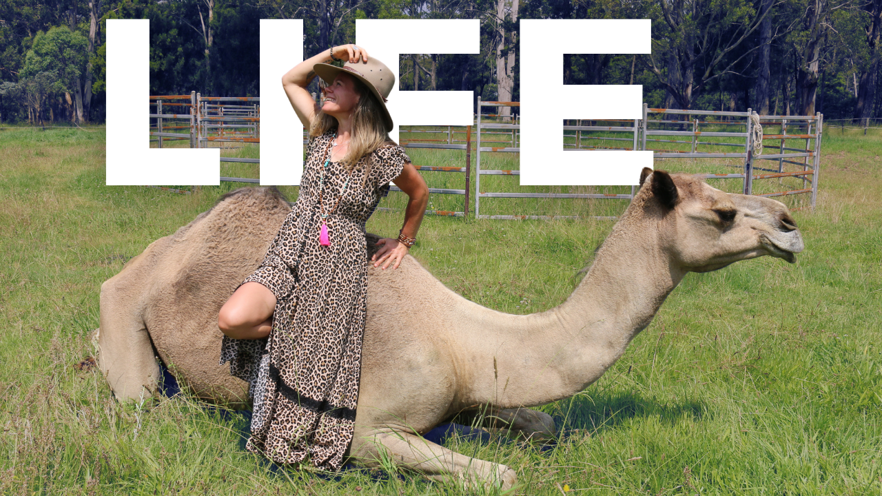 Tara Lea Camel Lady cancer journey 