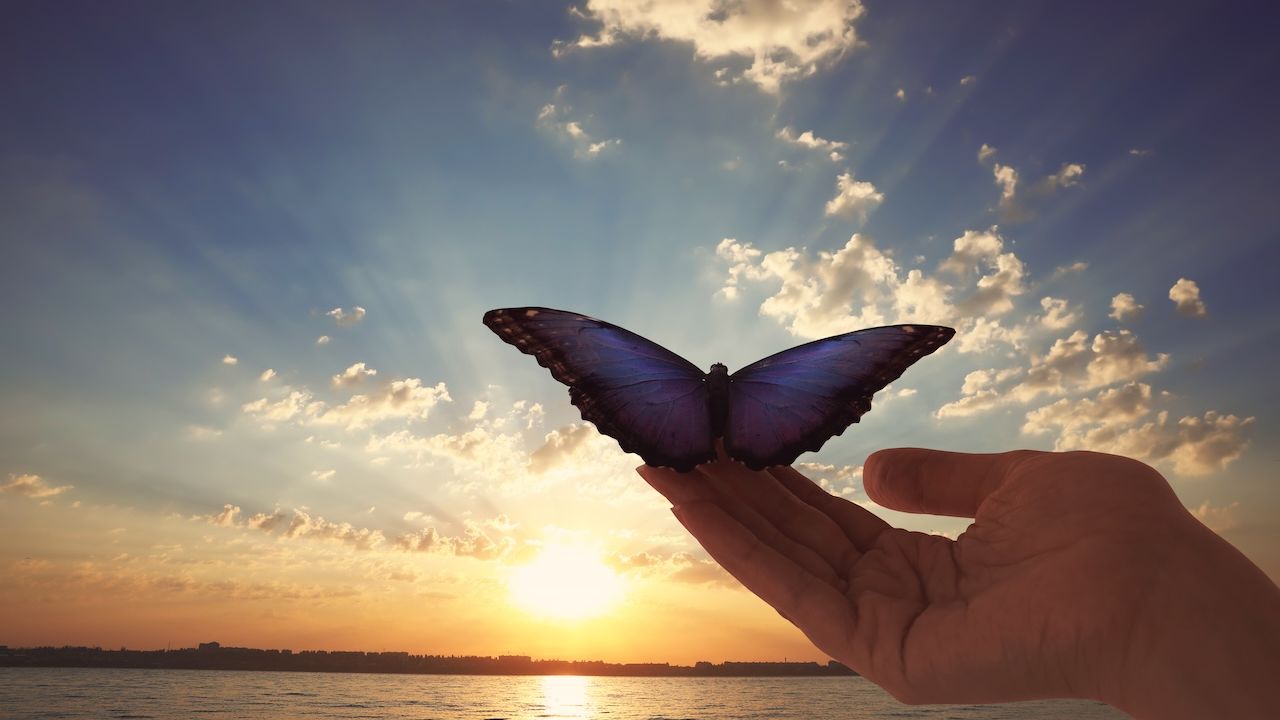 Transformation with Matrix Reimprinting