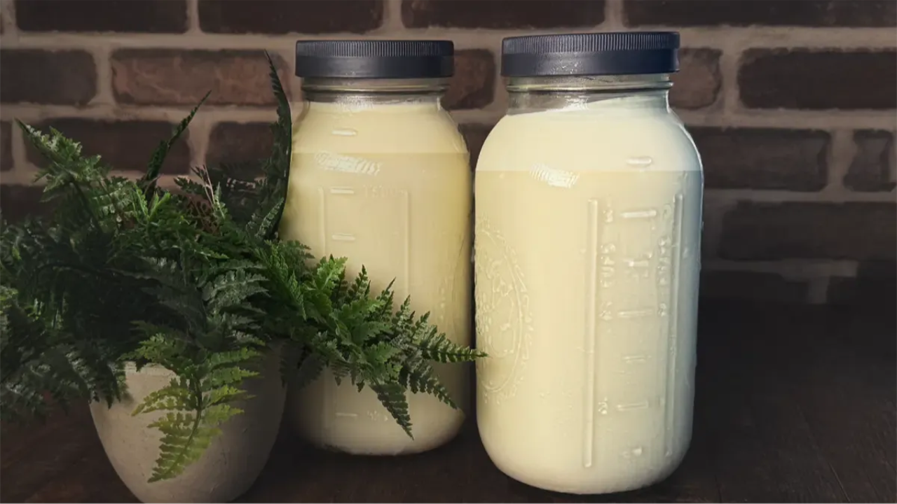 Two jars of raw milk with a thick creamline sitting on a farmhouse table beside fresh greenery.