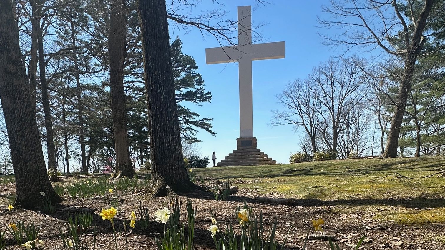 Picture by Katie Rea