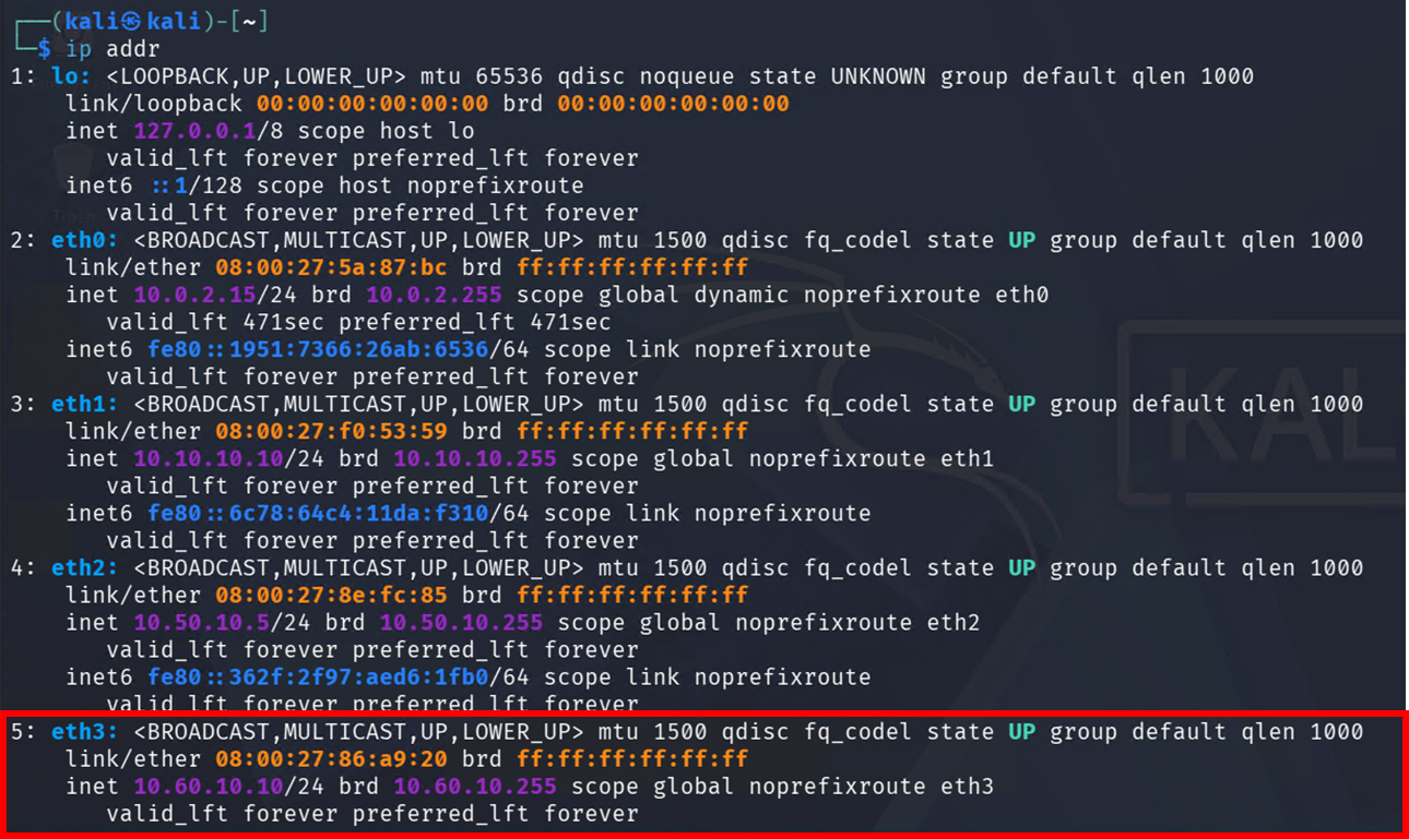 Resultado del comando ip addr en Kali Linux mostrando la interfaz 10.60.10.10