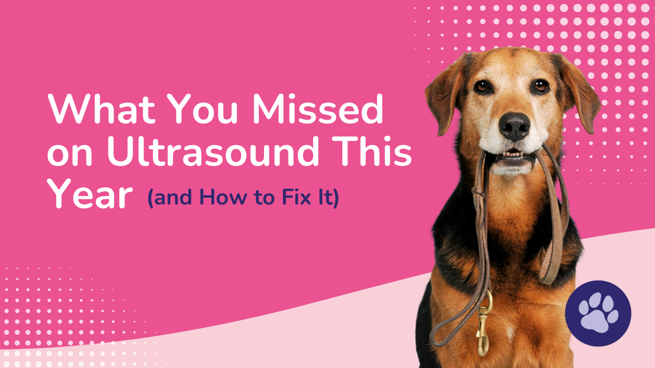 Dog next to text '(and How to Fix It)'