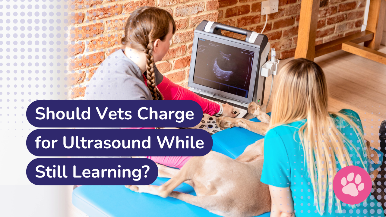 two vets scanning a dog on a table