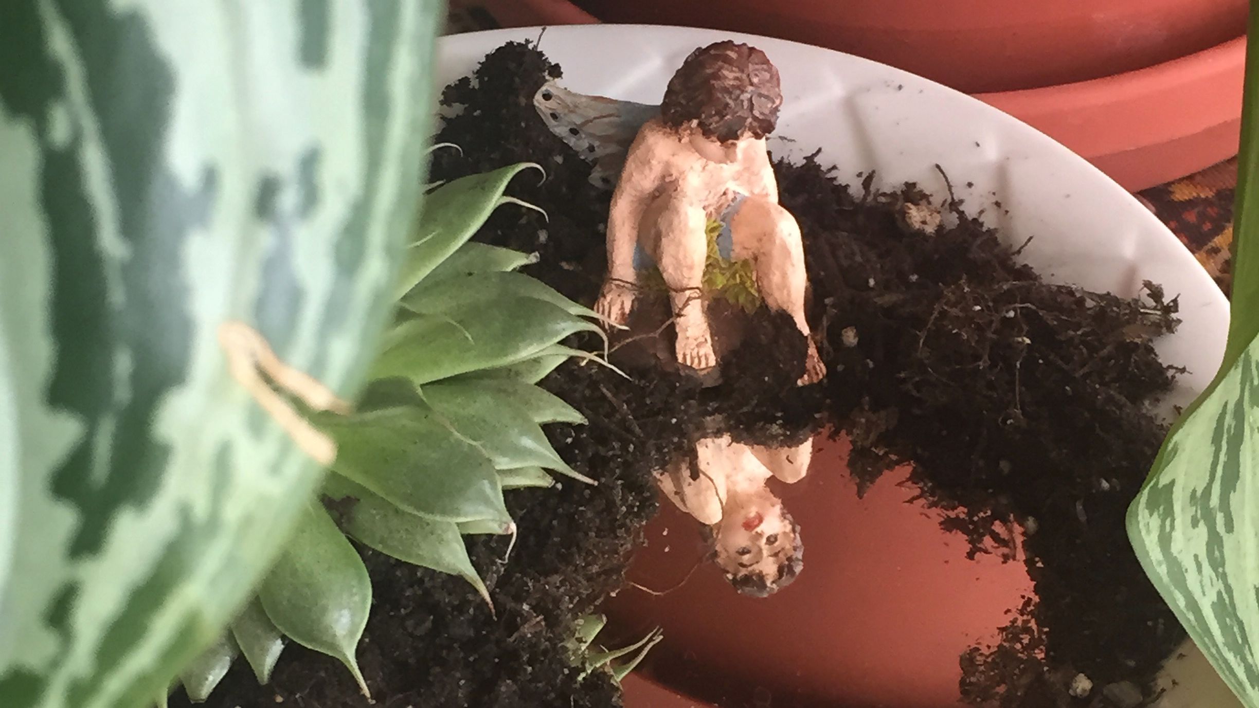 small figure looking into mirror surrounded by plants