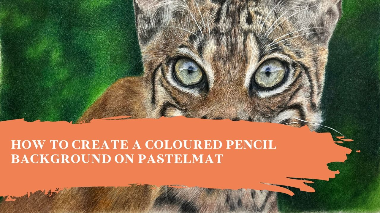 How to Create a Coloured Pencil Background on Pastelmat | Top Tips