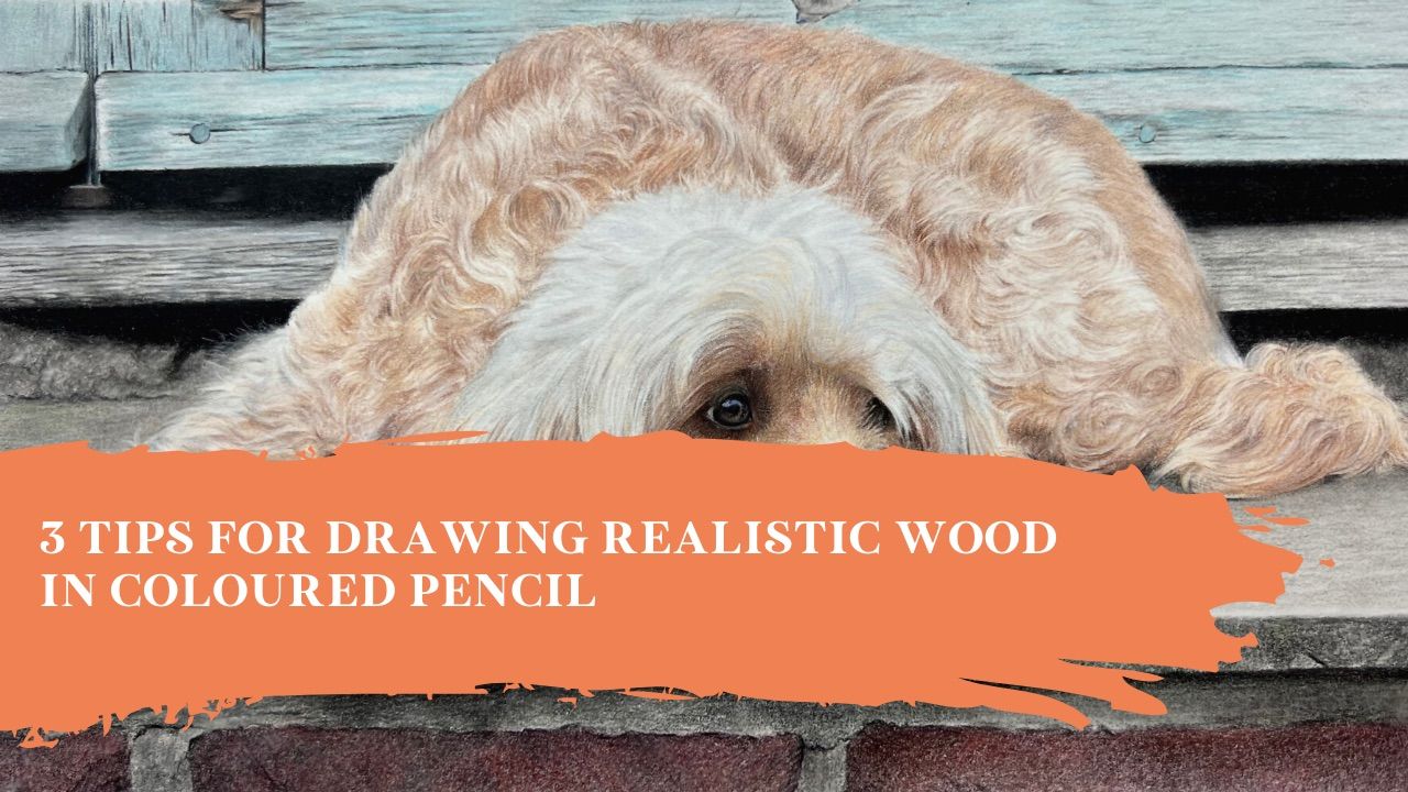 3 Tips for Drawing Realistic Wood in Coloured Pencil | Top Tips