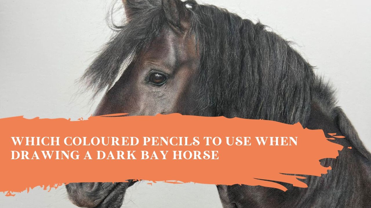 Which Coloured Pencils to Use When Drawing a Dark Bay Horse | Colour Recipe