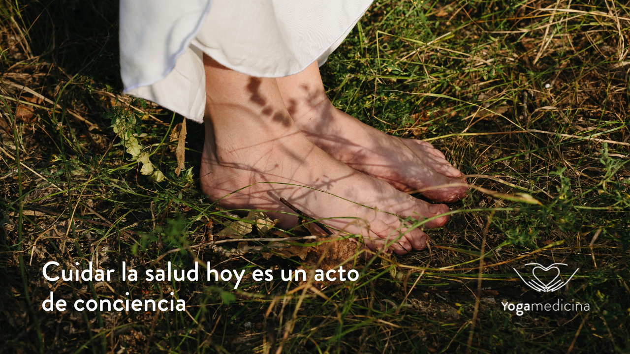 salud grounding