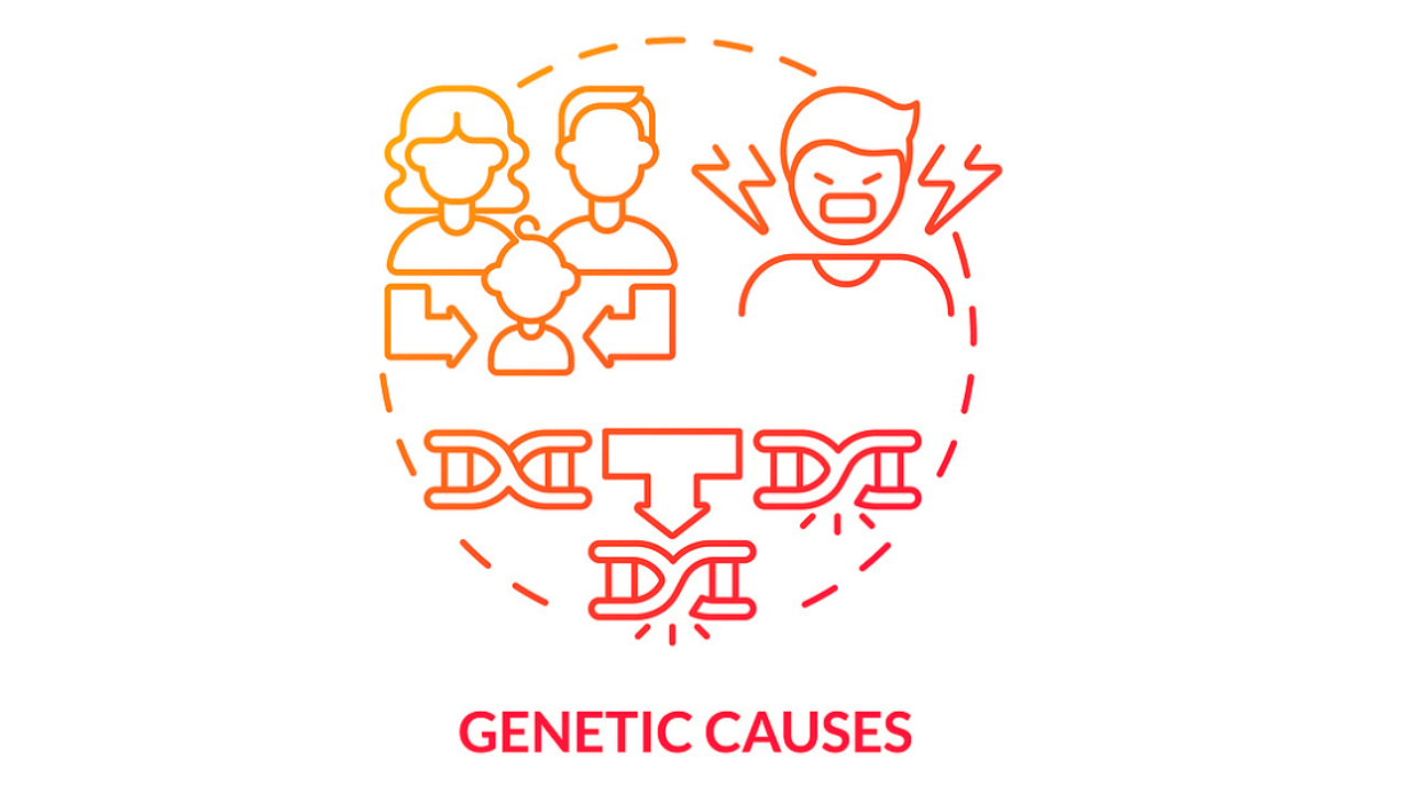 Diagram showing the impact of genetics on a child