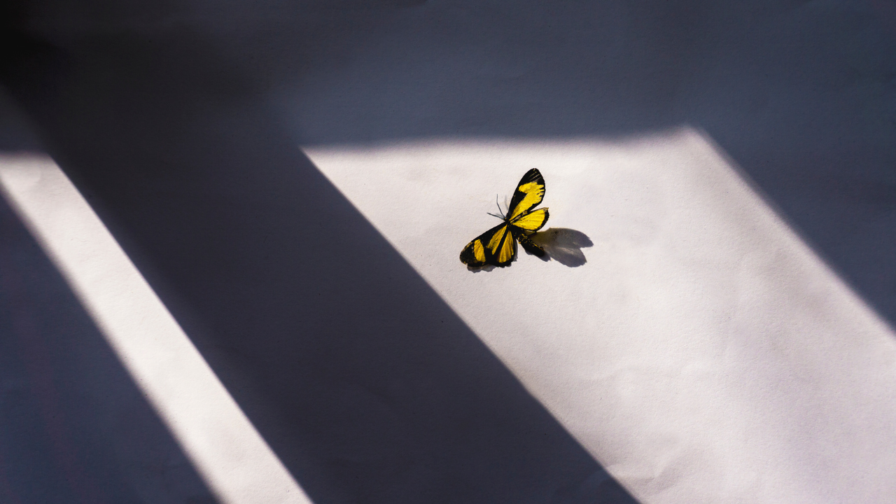 trusting-god-in-infertility