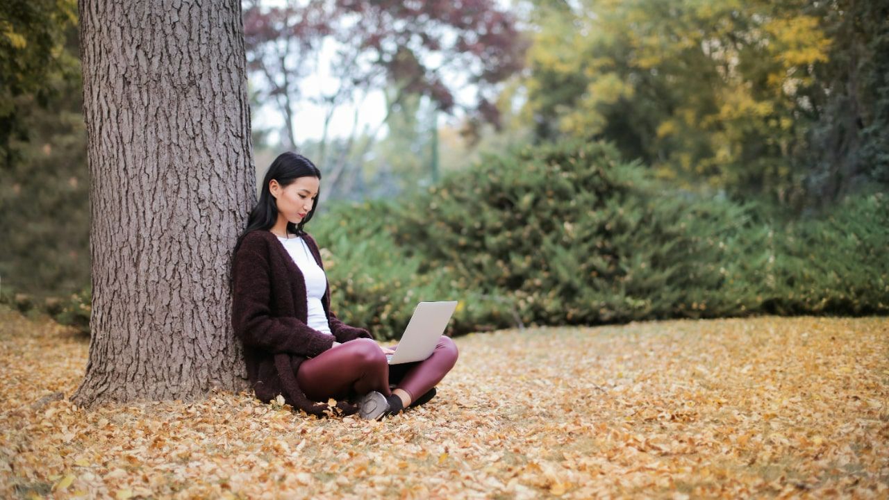 Online Mindfulness Coaching