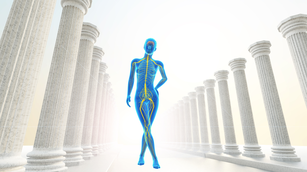 stylized image of a woman with her nervous system highlighted, standing between classical columns, symbolizing inner strength, health foundations, and the Inner Empire supporting leadership all year