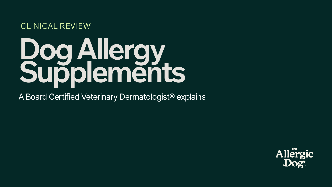 Dog allergy supplement reviewed by veterinary dermatologist