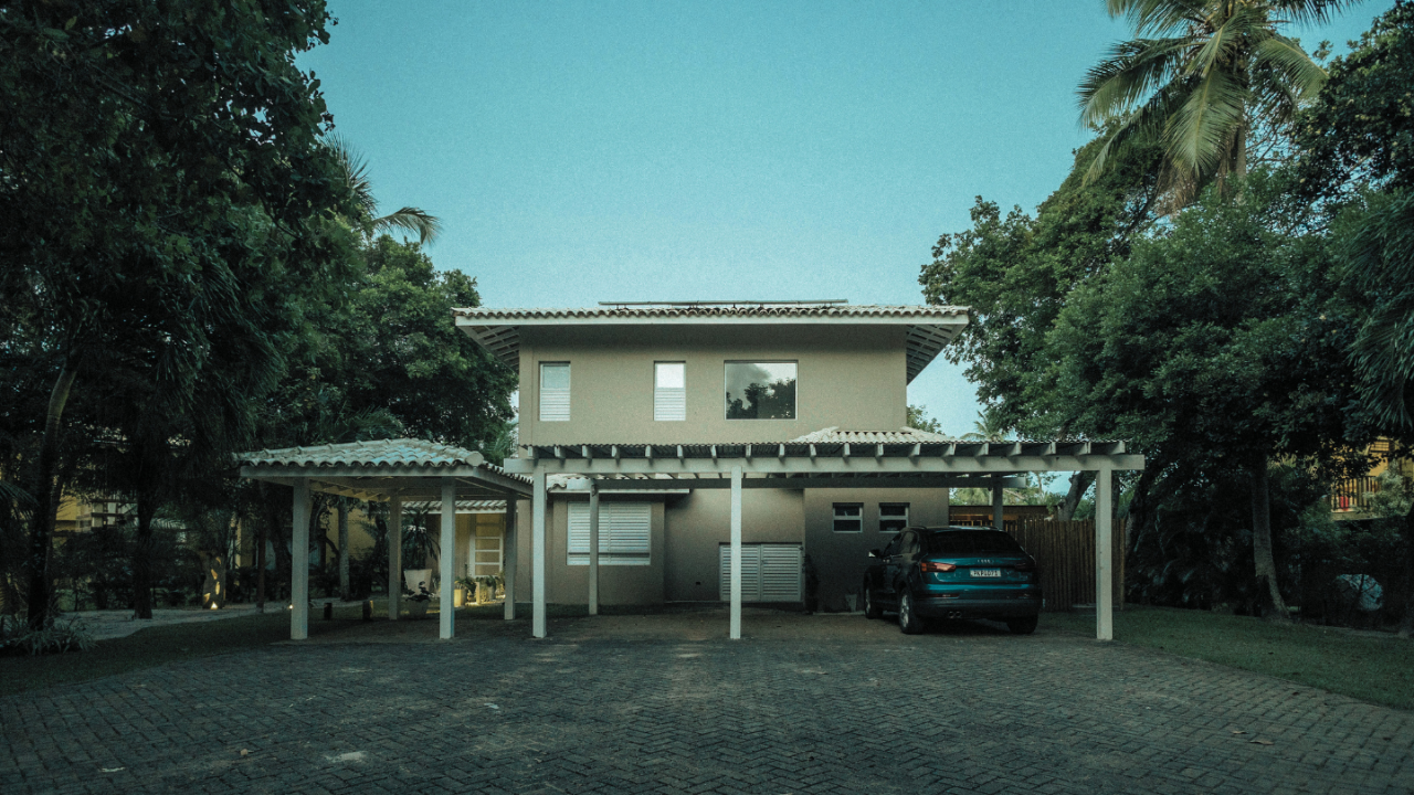 Tree dispute, property lawyer, litigation, Shire Legal, Miranda, Sydney, New South Wales, Australia