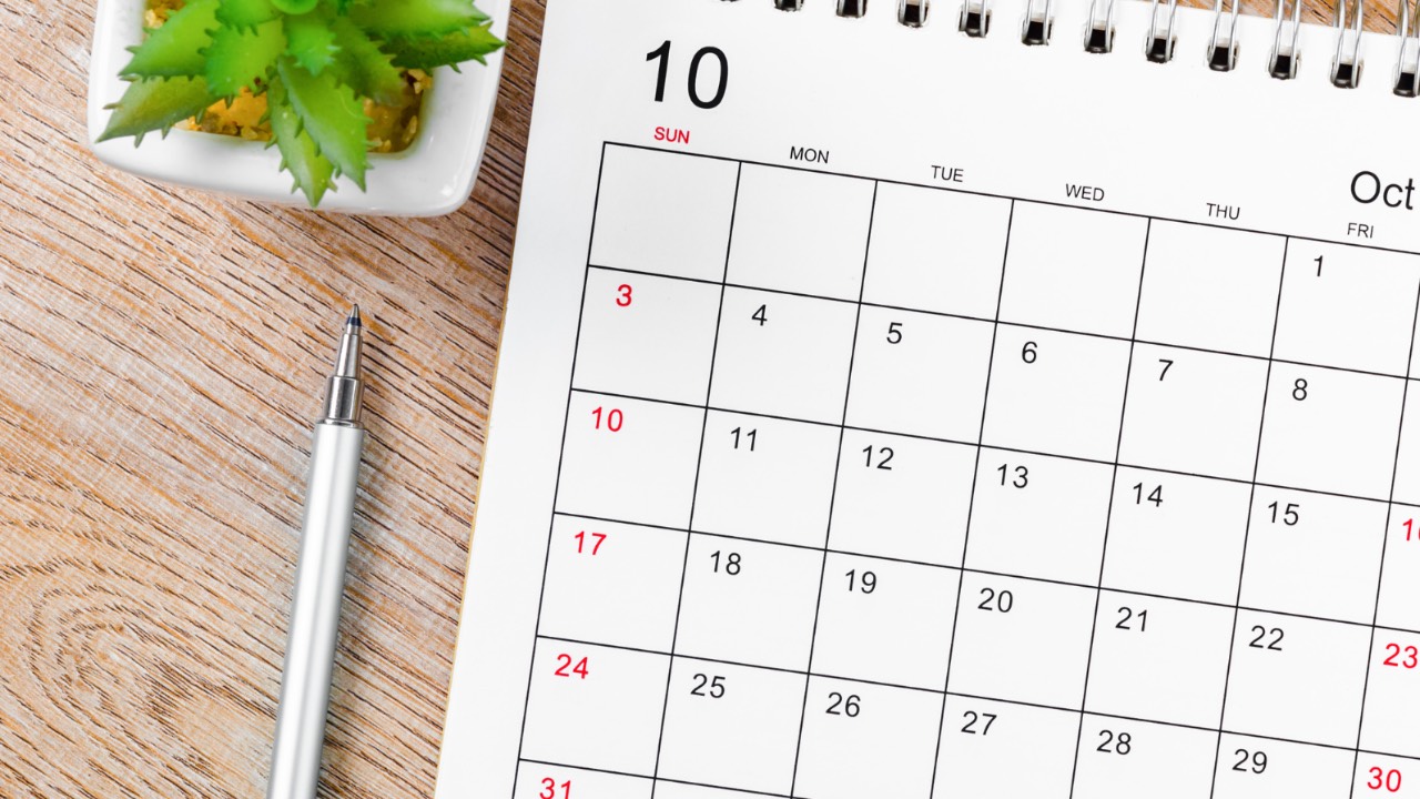 A bright paper calendar, a pen, and a green plant on a desktop. 