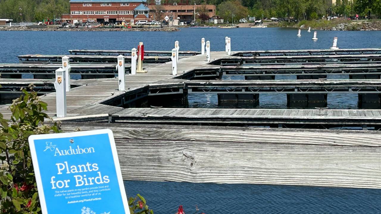 Photo of a marina with a blue sign in the foreground that says Audubon Plants for Birds to encourage sustainability at the waterfront in Burlington, Vermont