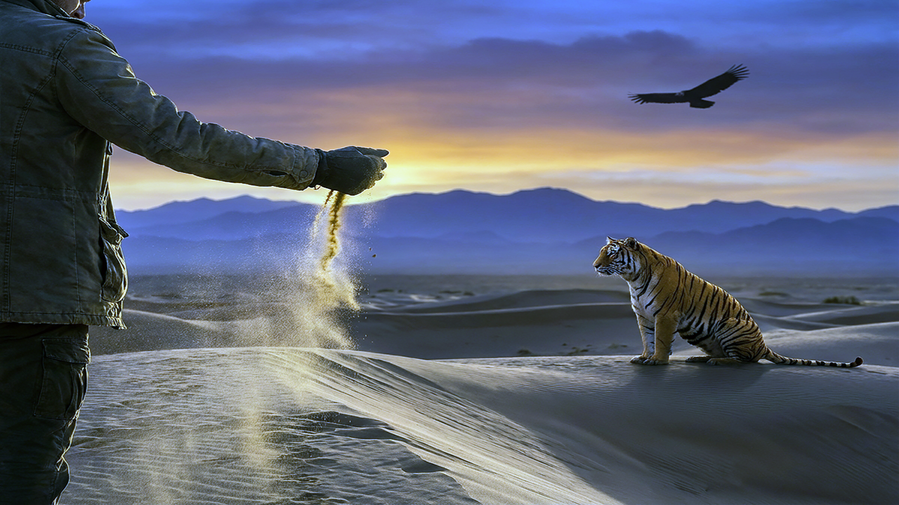 What You're Not Bringing Into 2026: The Art of Strategic Letting Go