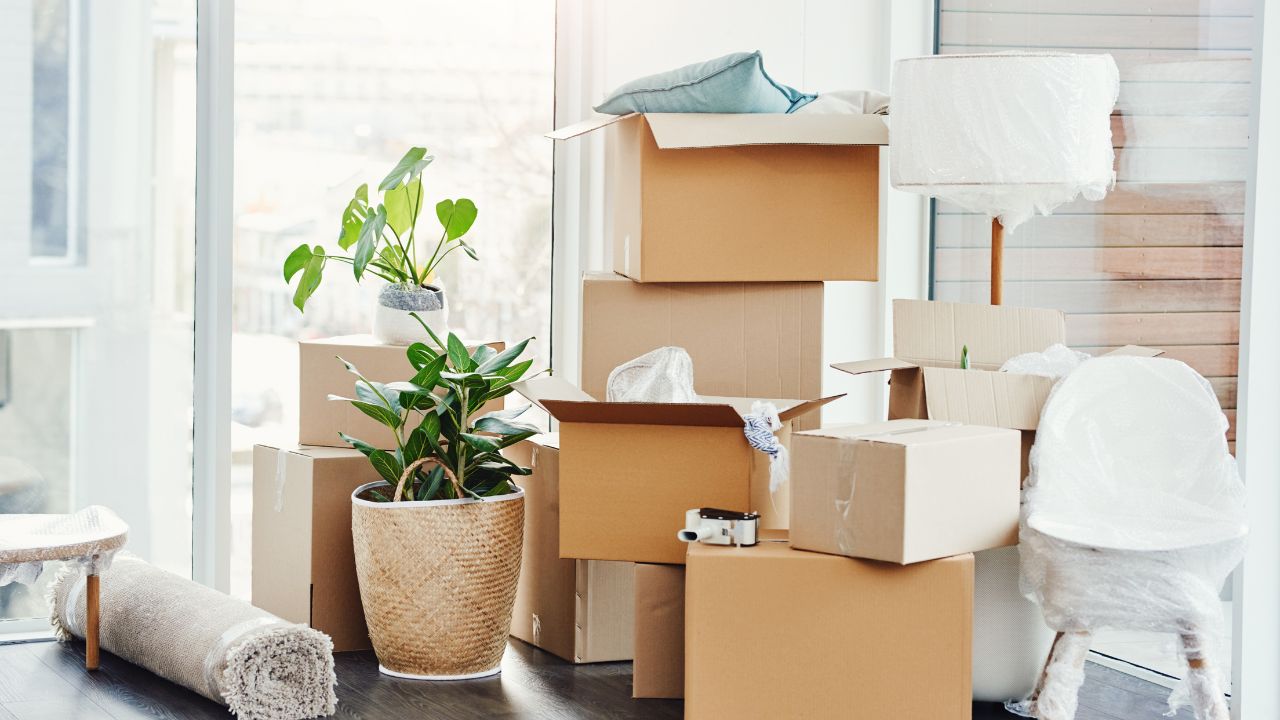 boxes packed for moving and other items protected in plastic