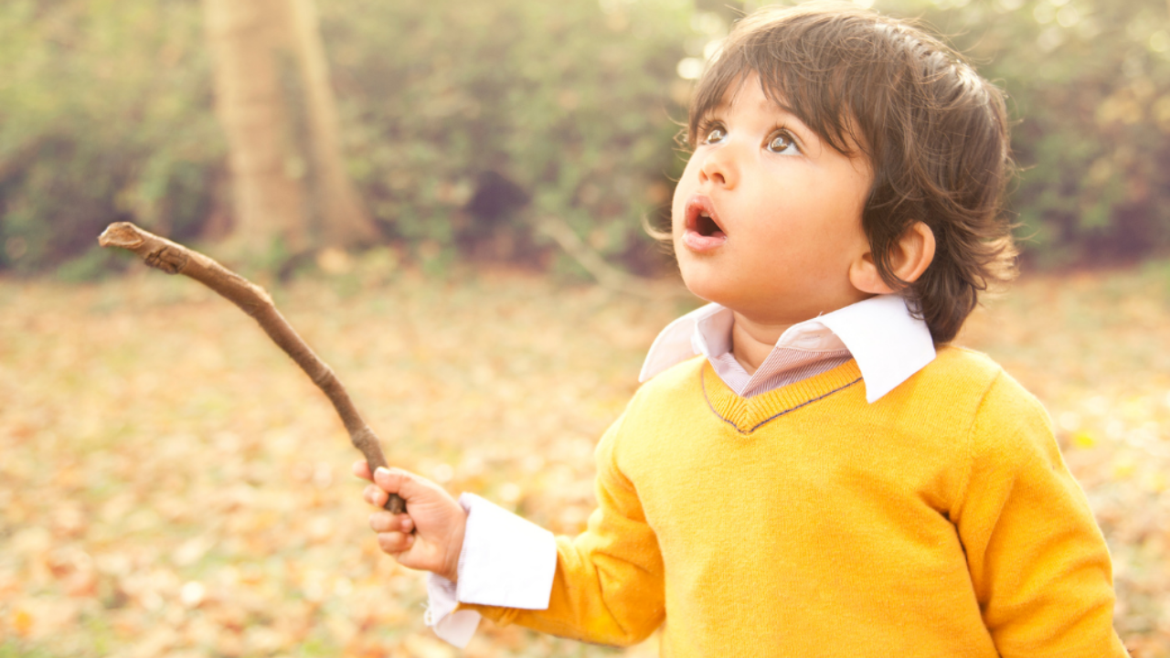 An image of a boy holding a sticking looking up in awe.