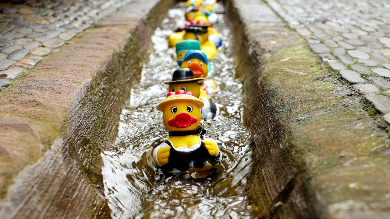 Rubber Ducks