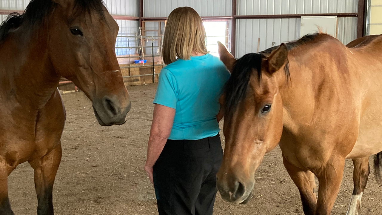 A horse on each side of a woman