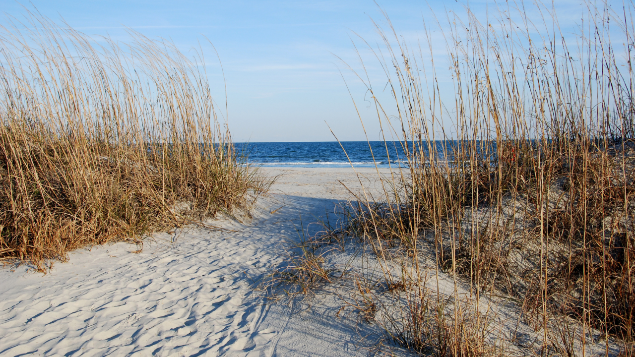 de duinen, als symbool voor belichaamd leiderschap en innerlijke rust.