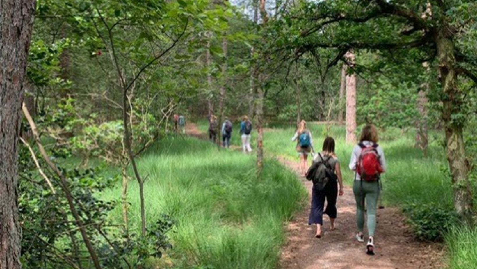 Groep deelnemers in de duinen tijdens de opleiding Systemisch Werk & Ademwerk — samen vertragen, ademen en thuiskomen in zichzelf.