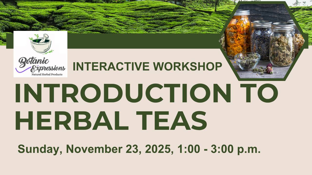 introduction to herbal teas workshop sunday november 23 2025 at HealthGirl.ca Health Girl studio natural wellness