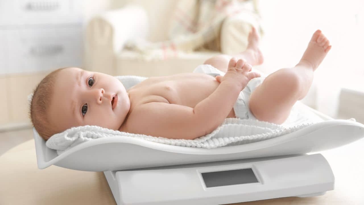 Weighted feed breastfeeding: baby on a scale to measure milk intake