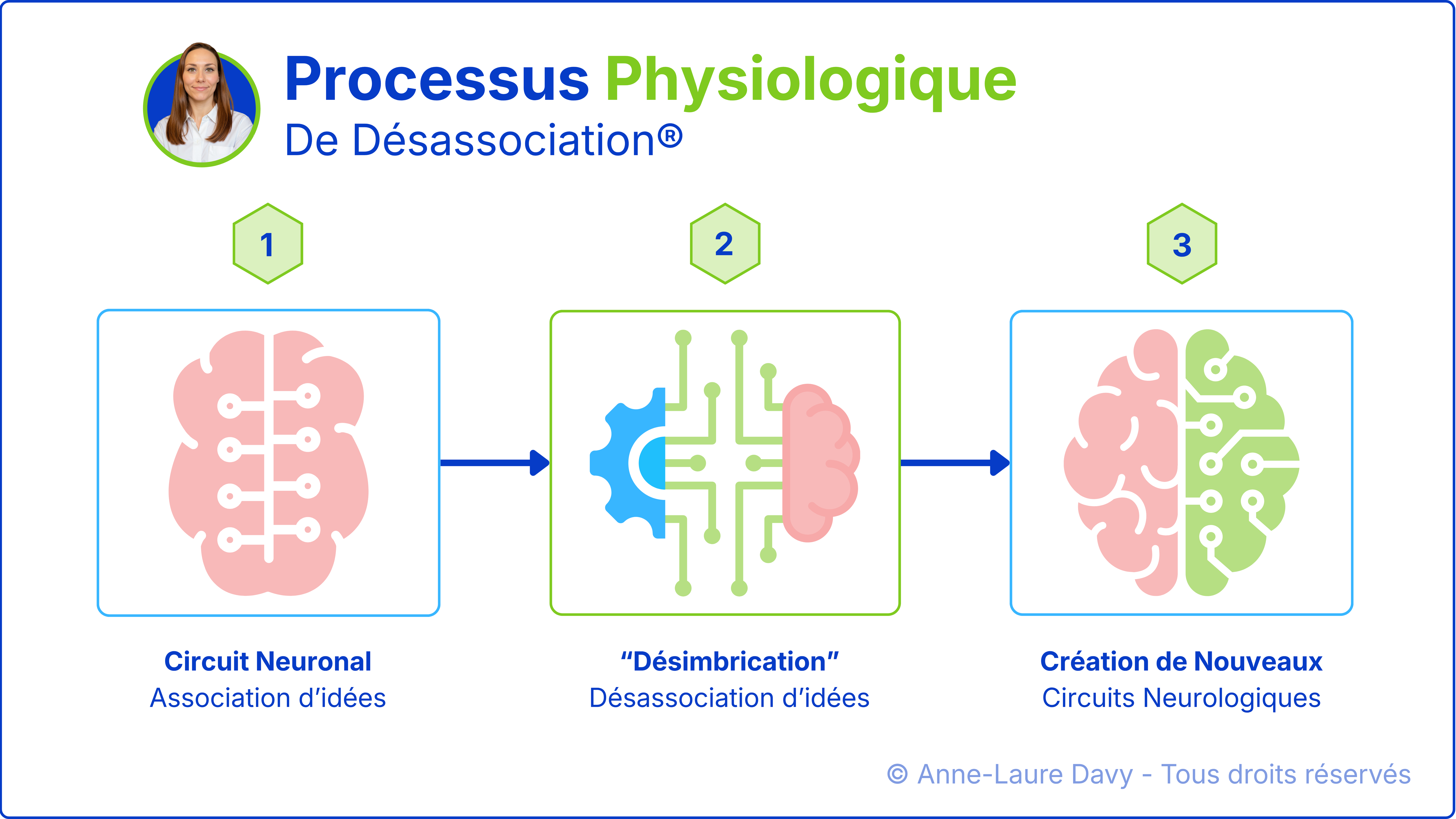 Schéma explicatif de l'évolution du circuit neuronal de la désimbrication à la création de nouveaux circuits neurologiques
