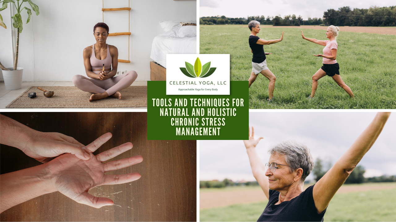 Tools and Techniques for Natural and Holistic Chronic Stress Management