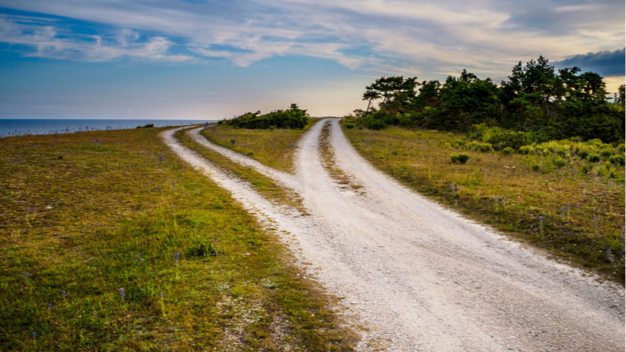 Gravel road splitting into two paths disappearing into the horizon, symbolizing financial planning and preparing for life’s unknowns
