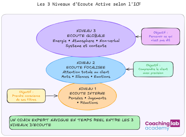 Infographie des 3 niveaux d'&eacute;coute active selon l'ICF : &eacute;coute interne, &eacute;coute focalis&eacute;e et &eacute;coute globale en coaching professionnel 