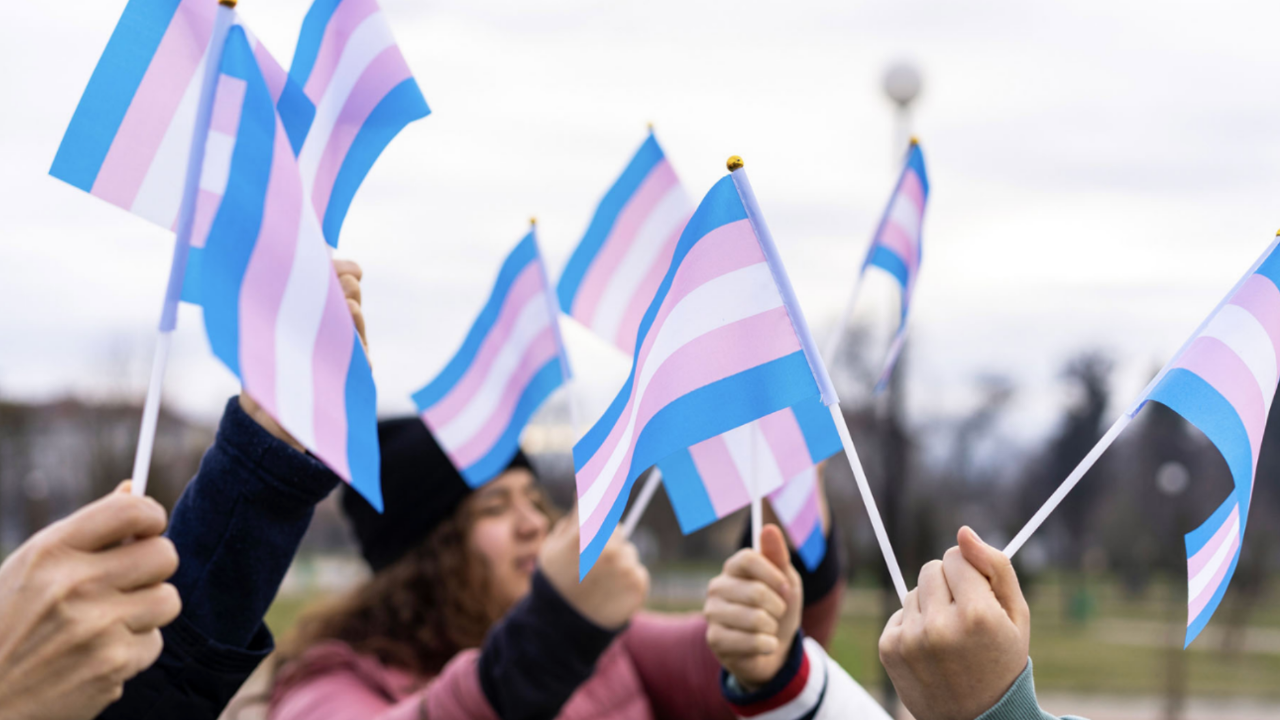 People holding trans flags demonstrating trans allyship in Michigan
