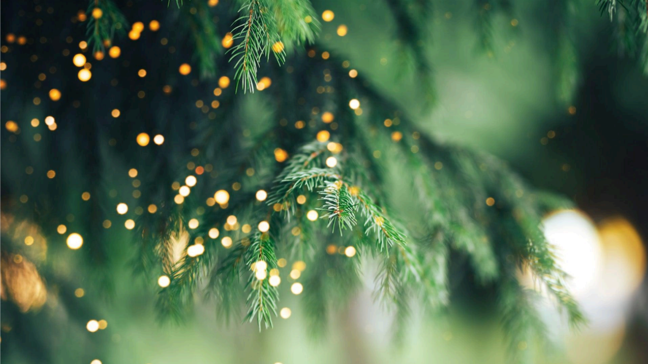 Holiday greenery with lights. Finding peace and calm this holiday season can be achieved with this guidance from Plymouth, Michigan therapists!