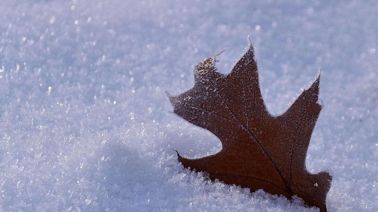 seasonal acupuncture