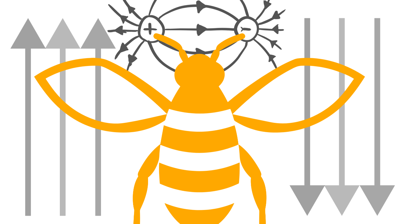 bees and 5G