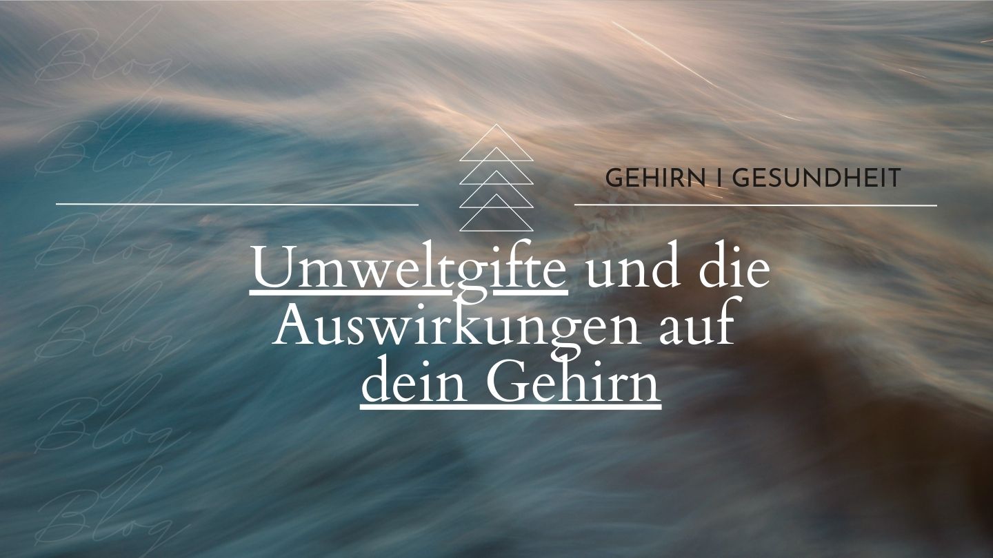 Umweltgifte und Mikroplastik im Gehirn des Menschen