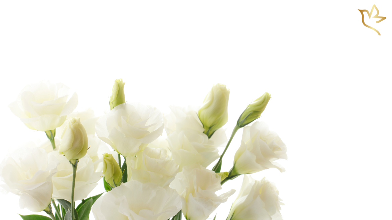 An elegant arrangement of white funeral flowers representing a Guide on How to Gracefully Ask for Funeral Donations.