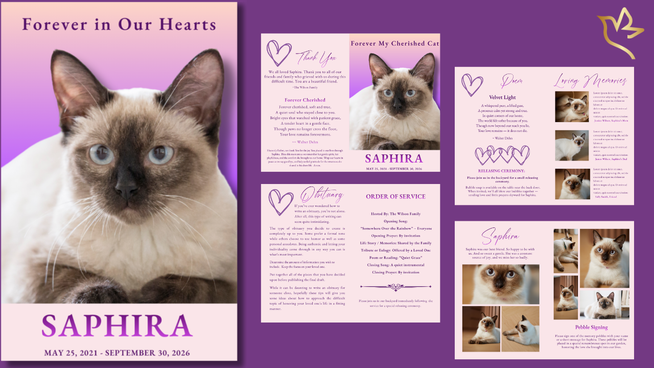 Elegant purple pet memorial funeral program example showing a 4-page and 8-page layout with cover photo, obituary, order of service, poems, and photo collage pages arranged in booklet format