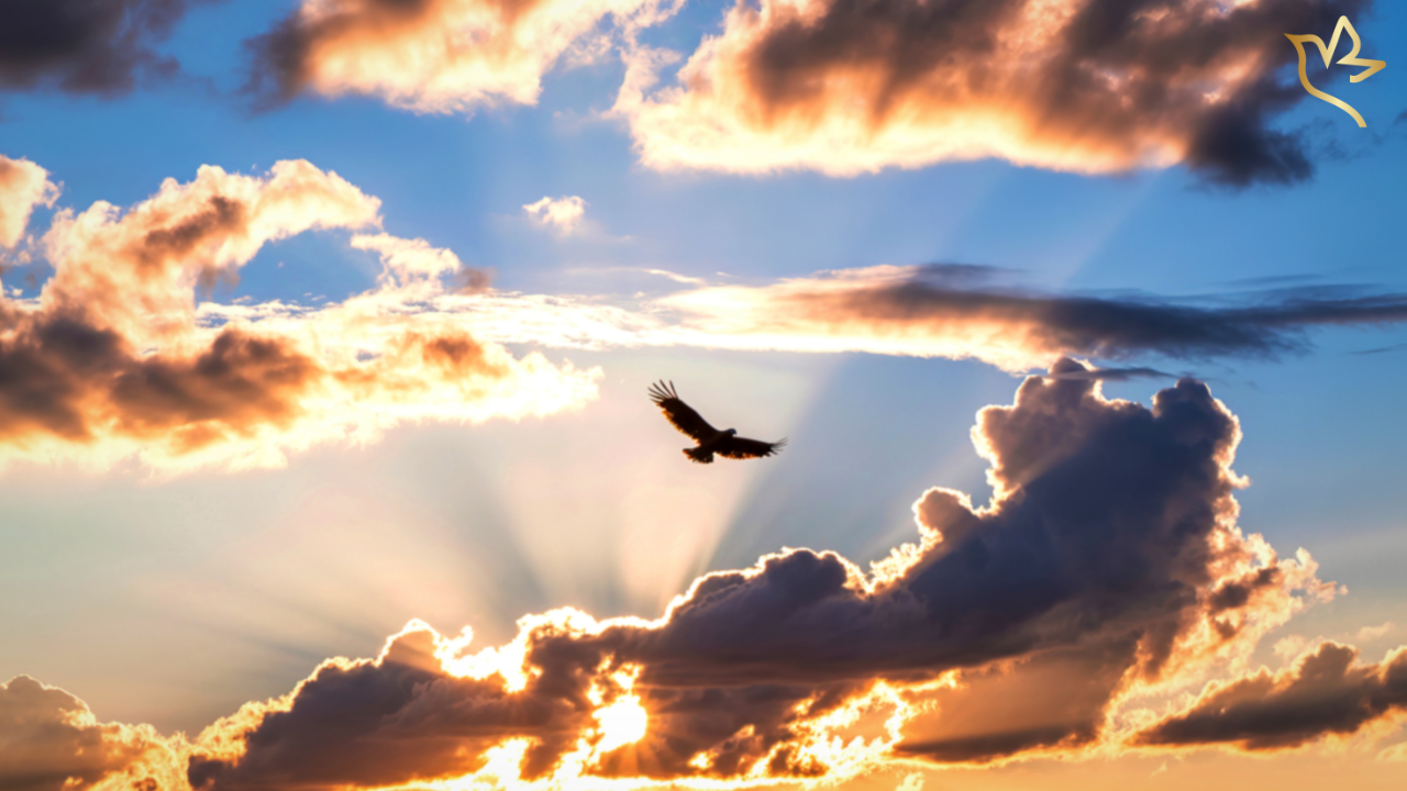 Silhouette of a bird soaring through golden clouds at sunrise, rays of light streaming across the sky — symbolizing the soul’s nearness, eternal love, and the peaceful connection between heaven and earth.
