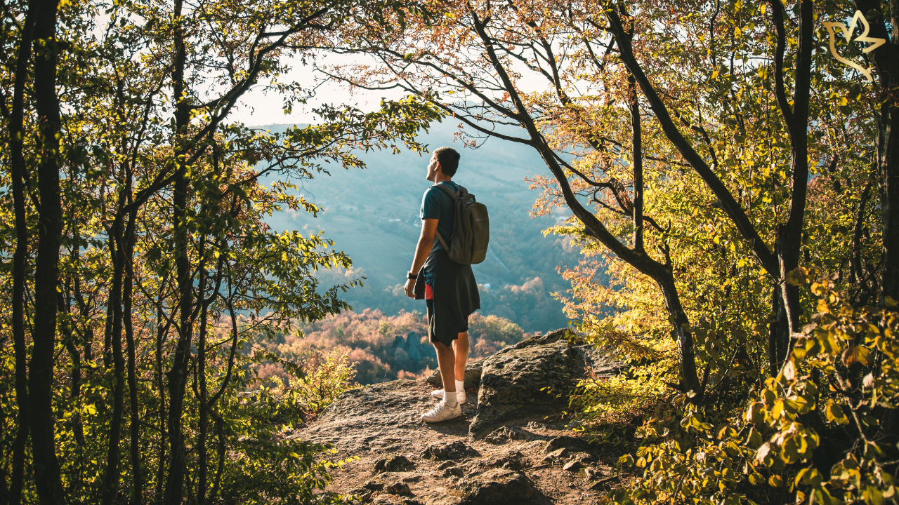 Man standing at a forest overlook bathed in warm sunlight, pausing in quiet reflection — symbolizing healing, remembrance, and finding peace through simple, everyday moments.