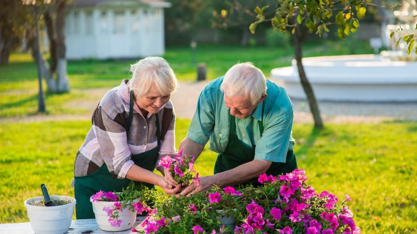 Biophilic garden environment designed for cognitive engagement and brain health