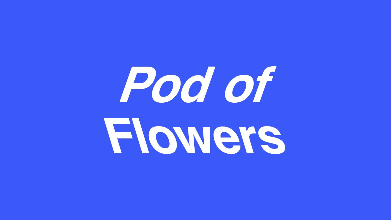 Pod of Flowers: How to simplify and automate tasks for both brands and retailers with Erik Fonseca