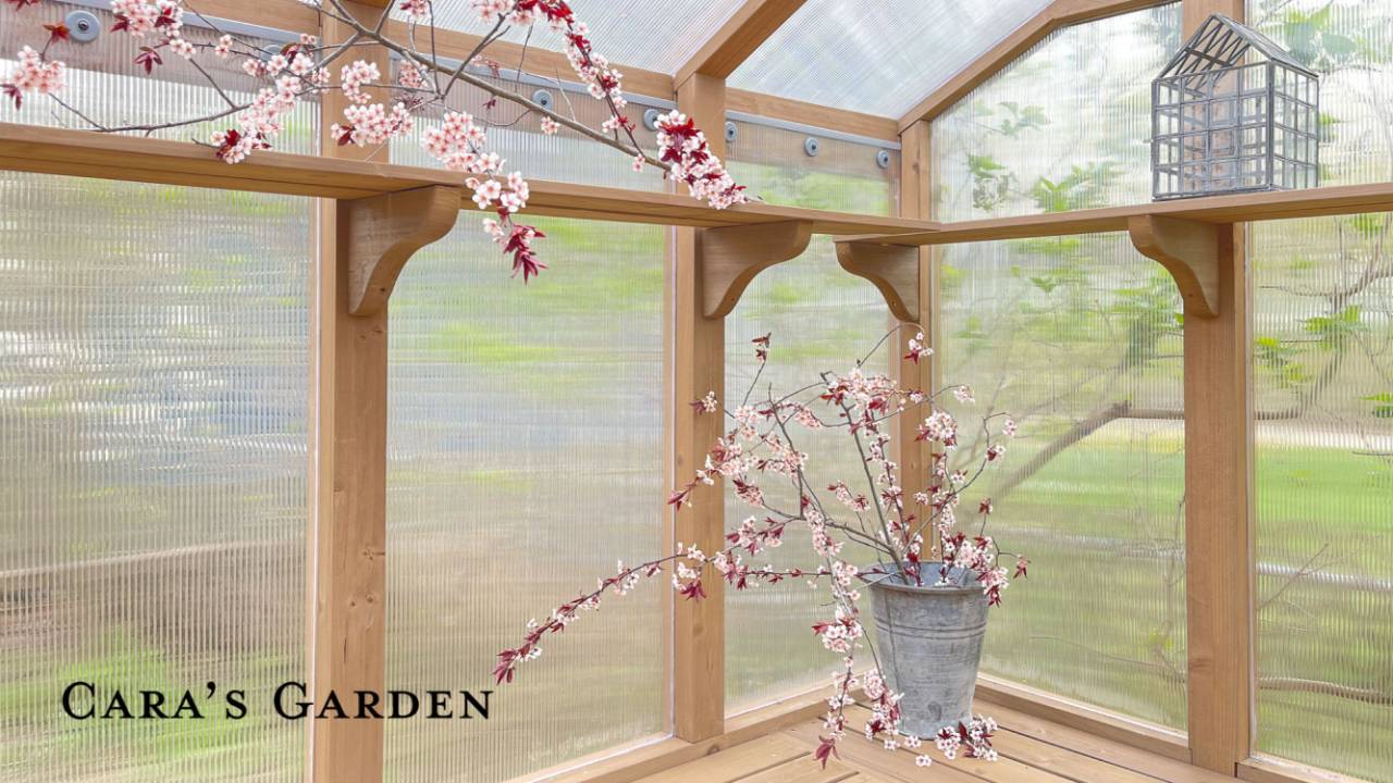 Cara's Garden Greenhouse