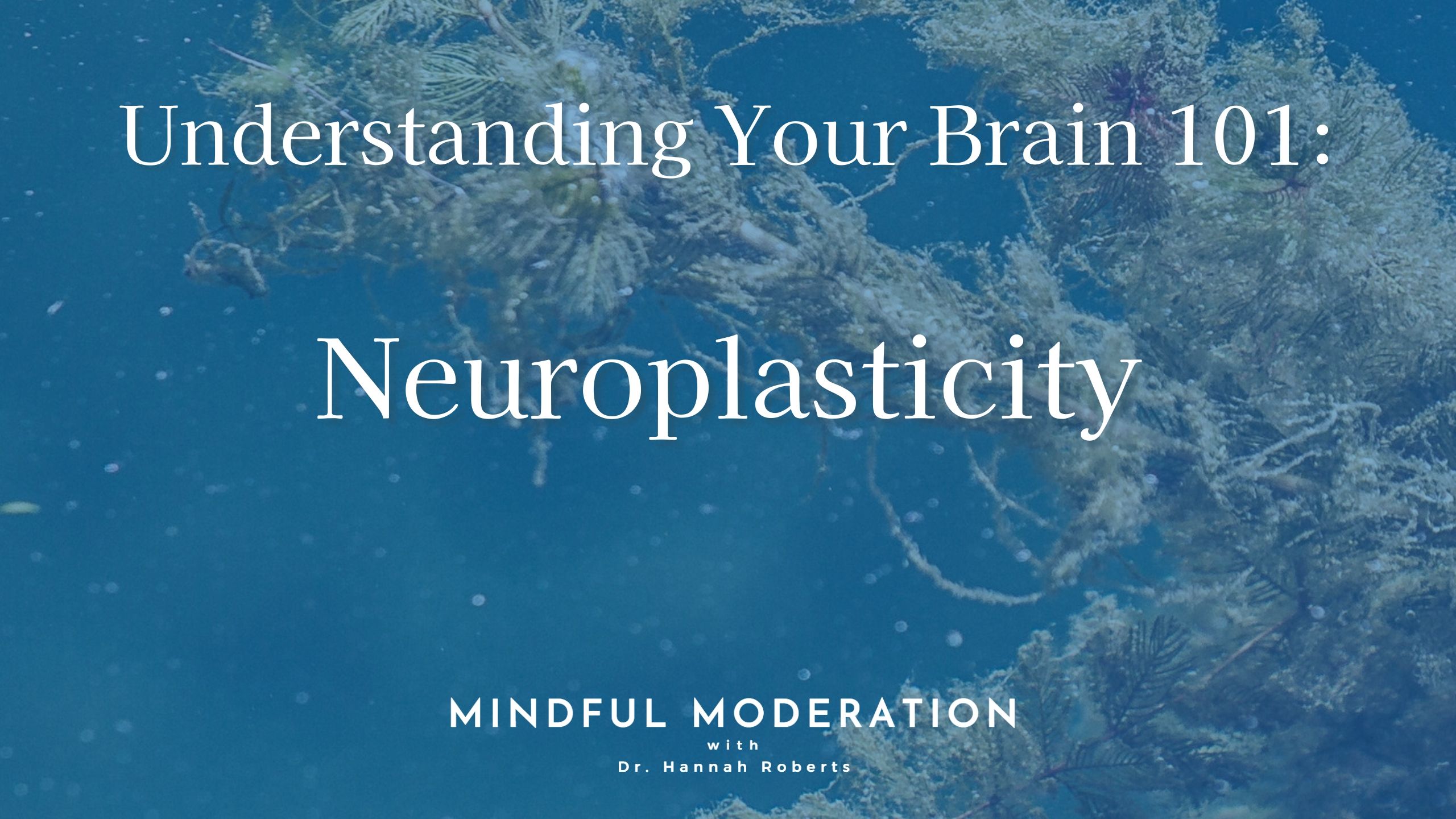 Understanding Your Brain 101: Neuroplasticity