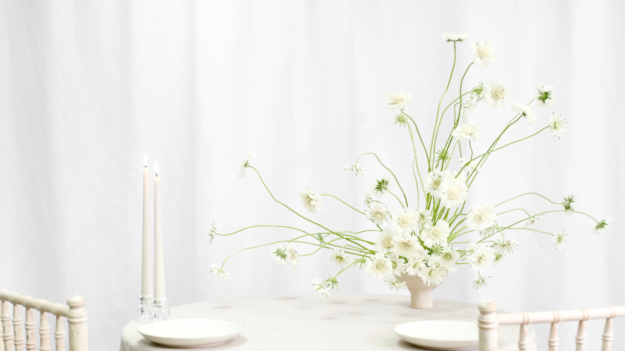 wild scabiosa bowl arrangement made by Joseph Massie